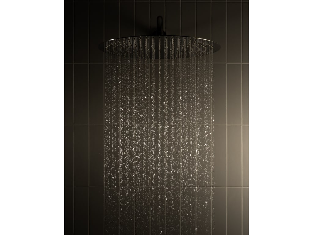 Shower heads Raindream 5B3950..0 Roca